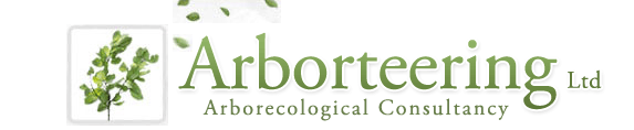 Arborecological Consultancy Arborteering Ltd